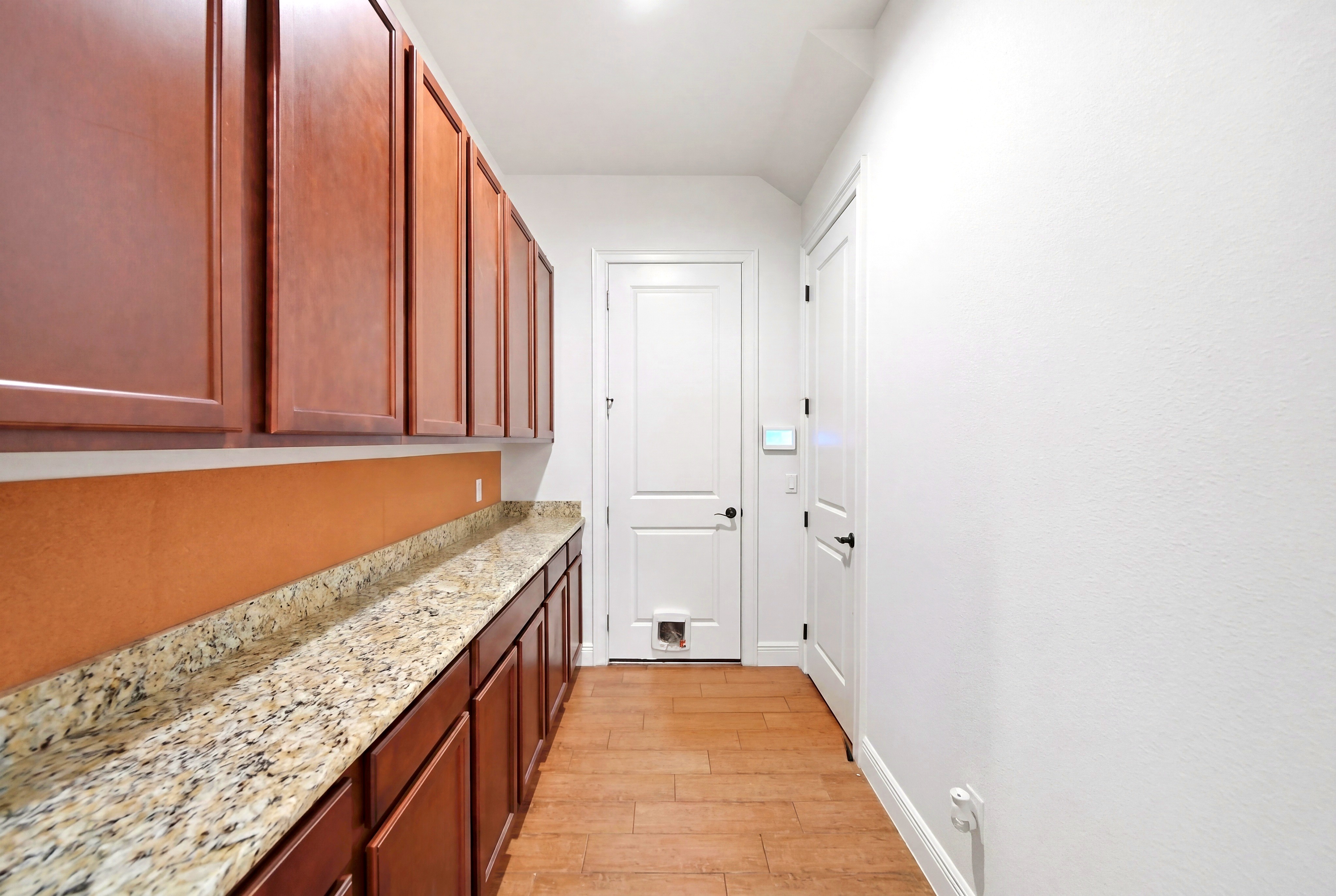 Butler's pantry with countertop